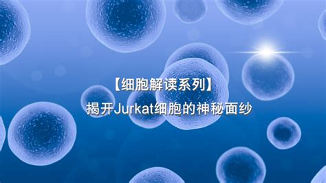 【细胞解读系列】揭开Jurkat细胞的神秘面纱 .